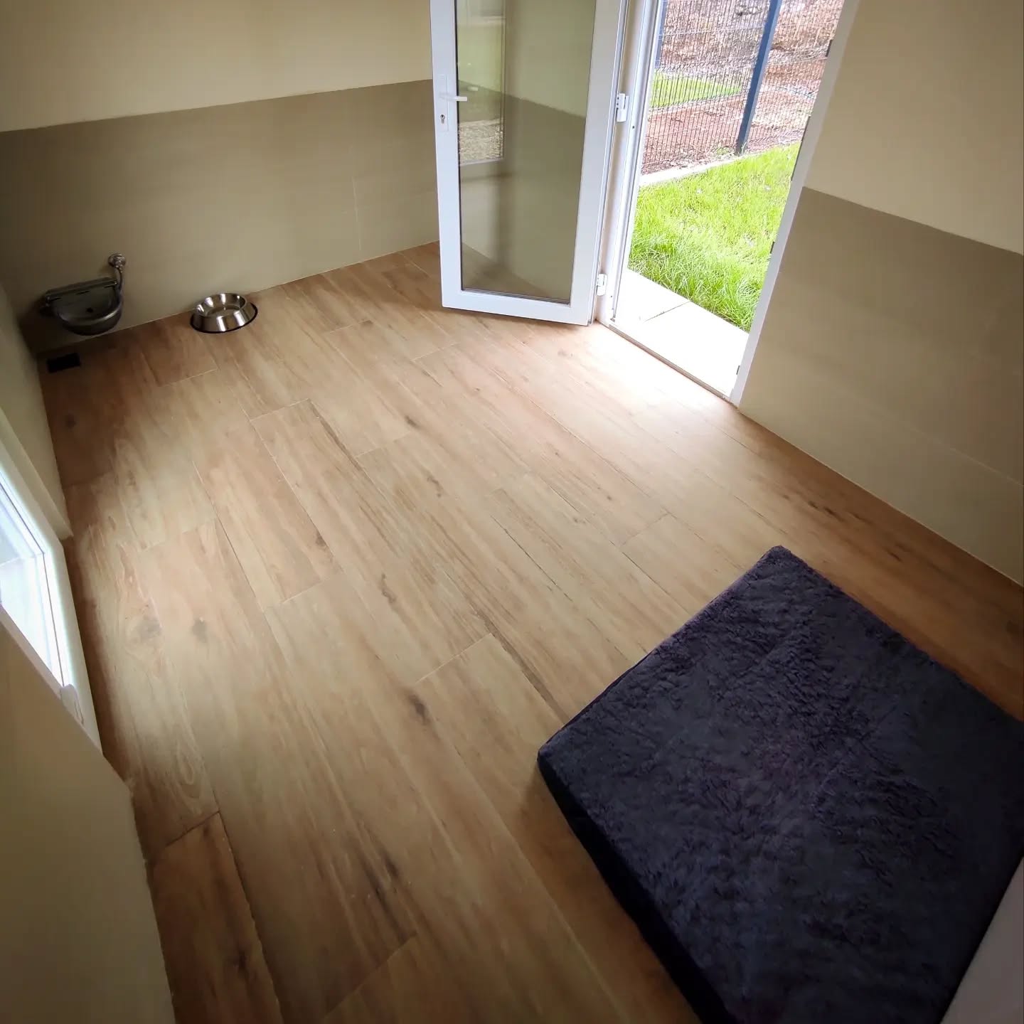 Alojamento interior canino